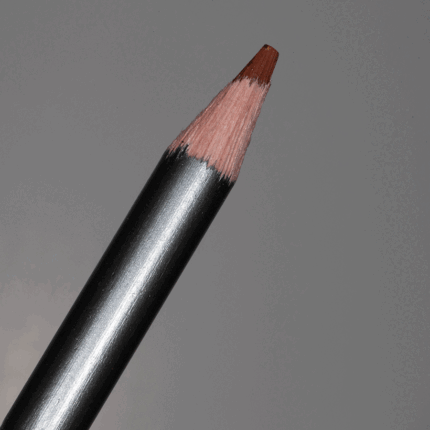 Autumn Brown Derwent Graphitint Tinted Graphite Pencil (17)