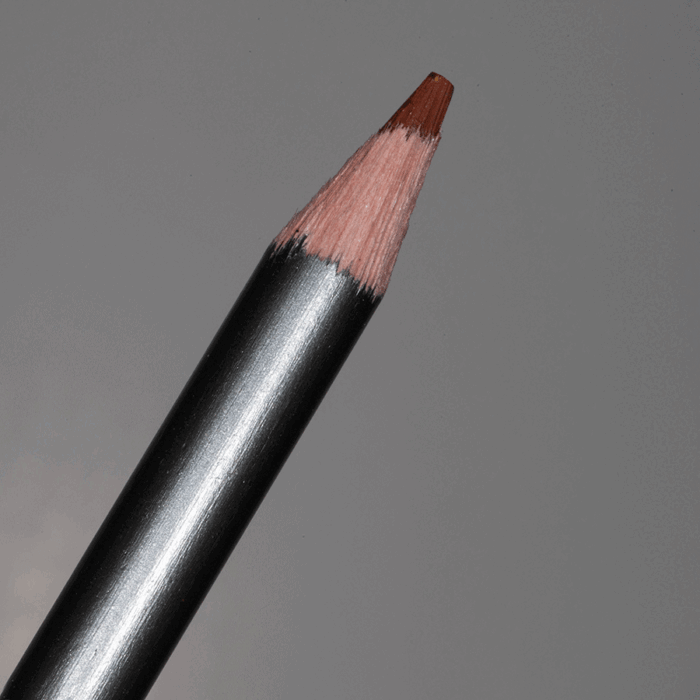 Autumn Brown Derwent Graphitint Tinted Graphite Pencil (17)