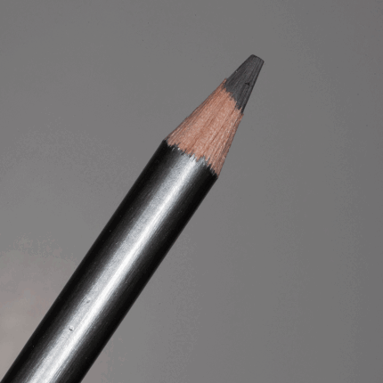 Warm Grey Derwent Graphitint Tinted Graphite Pencil (19)