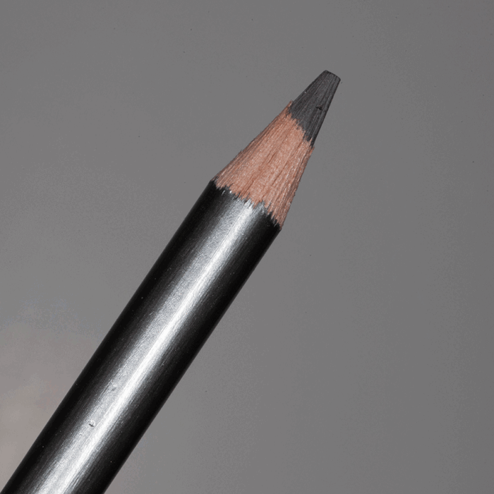 Warm Grey Derwent Graphitint Tinted Graphite Pencil (19)