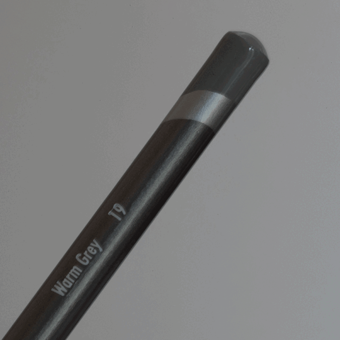 Warm Grey Derwent Graphitint Tinted Graphite Pencil (19)