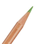 Grass Green Derwent Lightfast Coloured Pencil