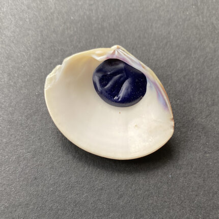 Great Ocean Shell Paint