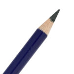 Ionian Green Derwent Inktense Pencil (1320)