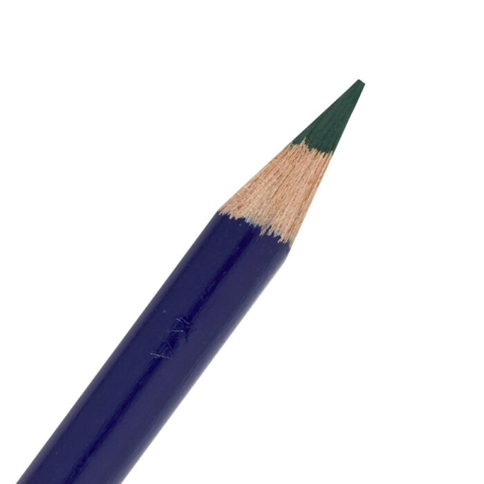 Beech Green Derwent Inktense Pencil (1510)