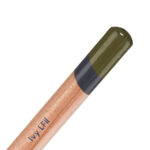 Ivy Derwent Lightfast Coloured Pencil