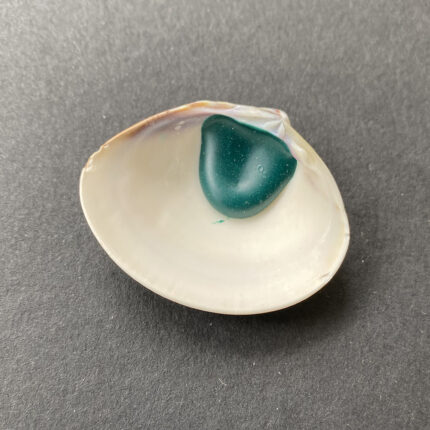 Lake Huron Teal Shell Paint