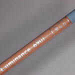 Steel Grey Caran d'Ache Luminance 6901 Colour Pencil (004)