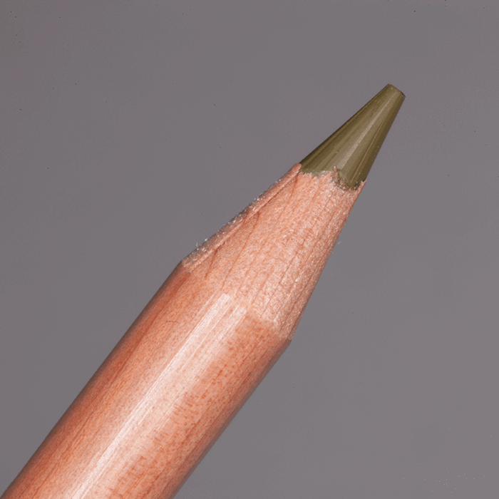 Olive Brown Caran d'Ache Luminance 6901 Colour Pencil (039)