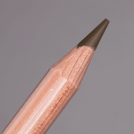 Raw Umber Caran d'Ache Luminance 6901 Colour Pencil (548)