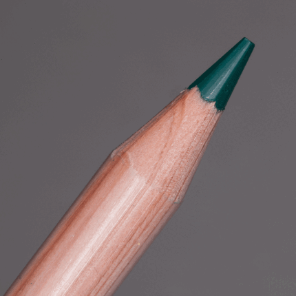 Dark English Green Caran d'Ache Luminance 6901 Colour Pencil (729)