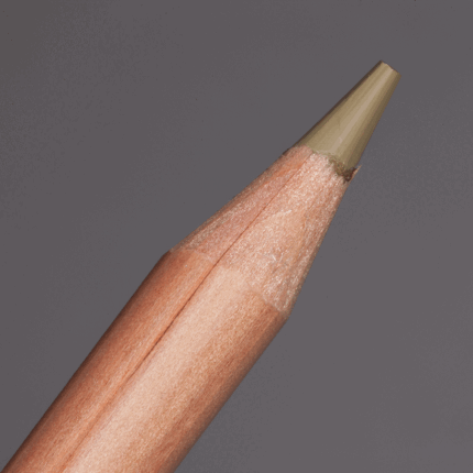 Brown Olive 50% Caran d'Ache Luminance 6901 Colour Pencil (736)