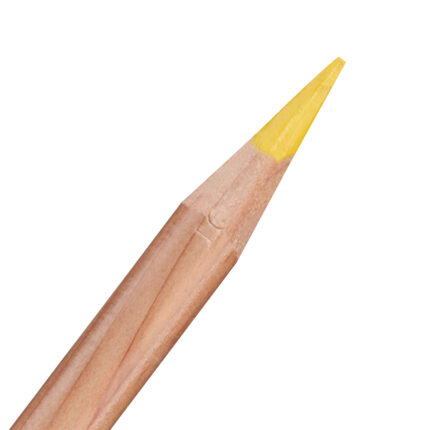 Mustard Derwent Lightfast Coloured Pencil