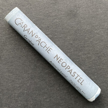 Grey Caran d'Ache Neopastel Oil Pastel (005)