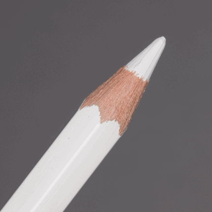 White Caran d'Ache Pablo Colour Pencil (001)