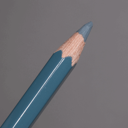 Dark Grey Caran d'Ache Pablo Colour Pencil (007)