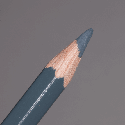 Greyish Black Caran d'Ache Pablo Colour Pencil (008)