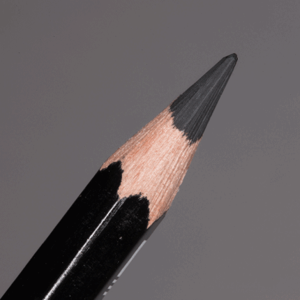 Black Caran d'Ache Pablo Colour Pencil (009)