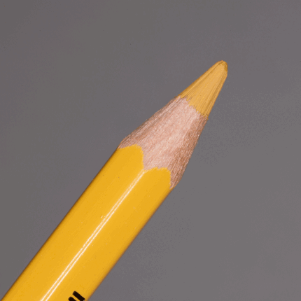 Golden Ochre Caran d'Ache Pablo Colour Pencil (033)