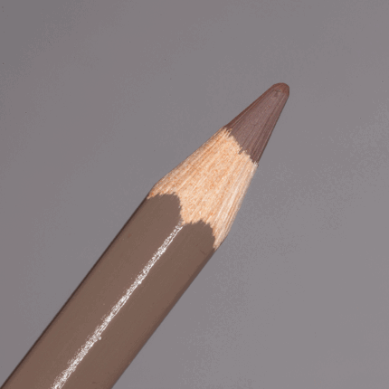 Vandyke Brown Caran d'Ache Pablo Colour Pencil (045)