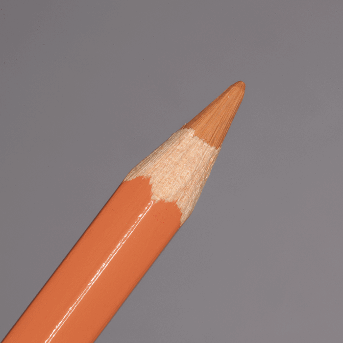 Hazel Caran d'Ache Pablo Colour Pencil (053)