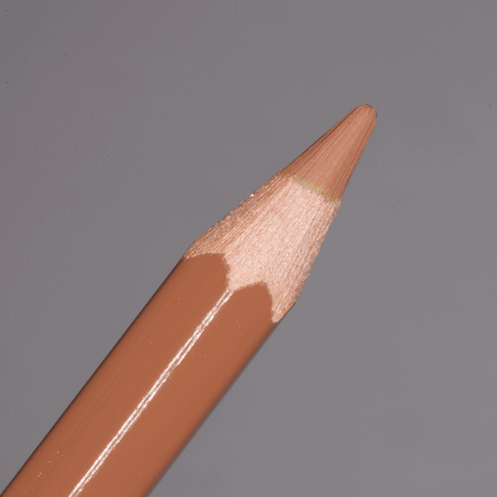 Cinnamon Caran d'Ache Pablo Colour Pencil (055)