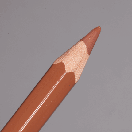 Chestnut Caran d'Ache Pablo Colour Pencil (057)