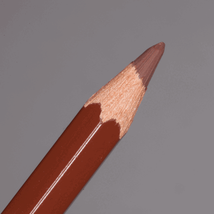 Brown Caran d'Ache Pablo Colour Pencil (059)