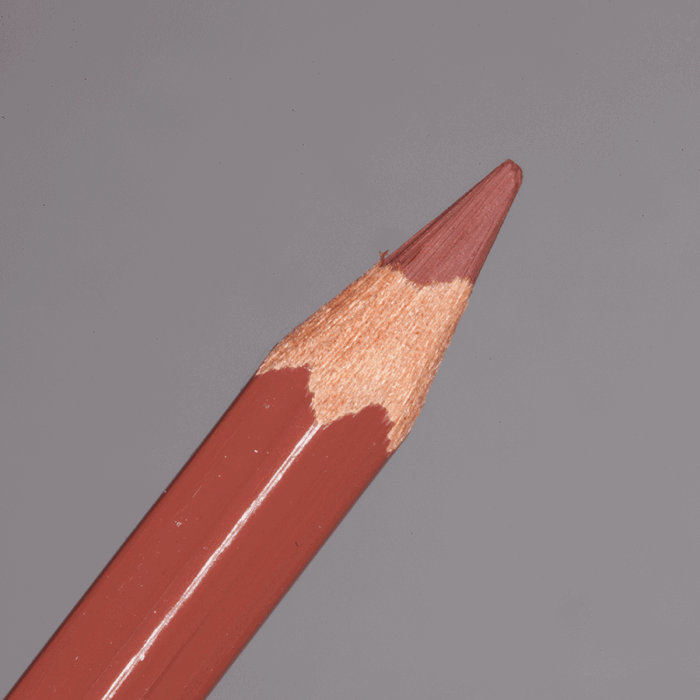 Burnt Sienna Caran d'Ache Pablo Colour Pencil (069)