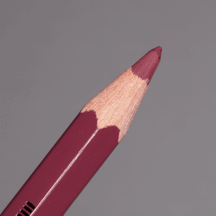 Dark Carmine Caran d'Ache Pablo Colour Pencil (089)