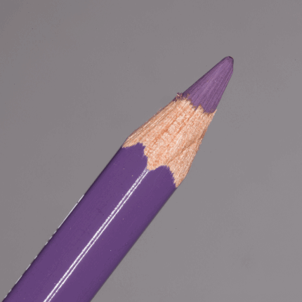 Aubergine Caran d'Ache Pablo Colour Pencil (099)