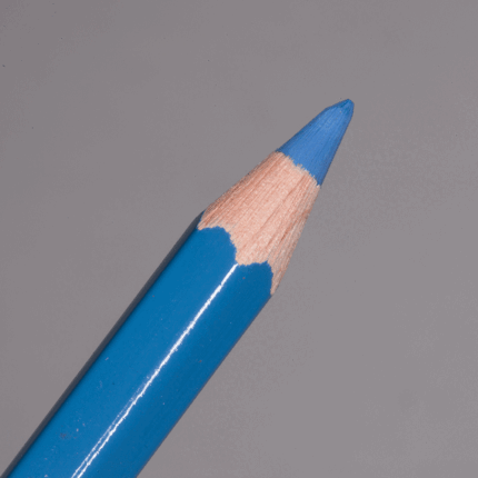 Bluish Grey Caran d'Ache Pablo Colour Pencil (145)