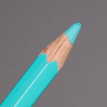 Turquoise Green Caran d'Ache Pablo Colour Pencil (191)