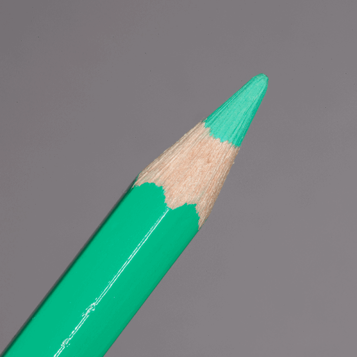 Veronese Green Caran d'Ache Pablo Colour Pencil (201)