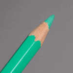 Greyish Green Caran d'Ache Pablo Colour Pencil (215)