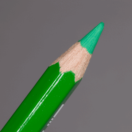 Grass Green Caran d'Ache Pablo Colour Pencil (220)