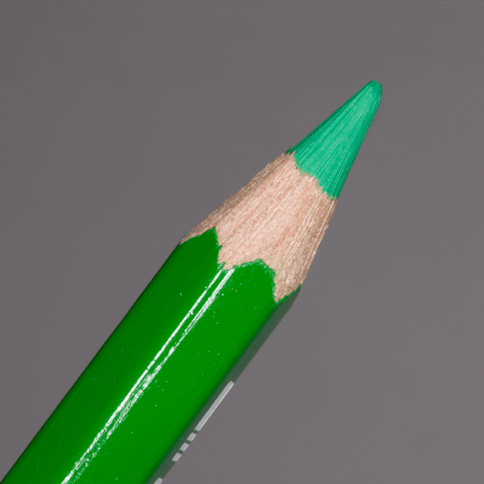 Grass Green Caran d'Ache Pablo Colour Pencil (220)