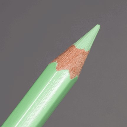 Light Green Caran d'Ache Pablo Colour Pencil (221)