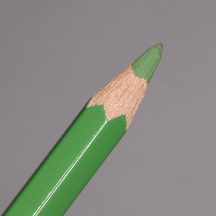 Moss Green Caran d'Ache Pablo Colour Pencil (225)