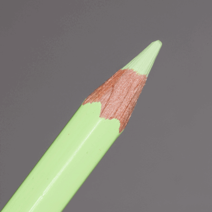 Lime Green Caran d'Ache Pablo Colour Pencil (231)