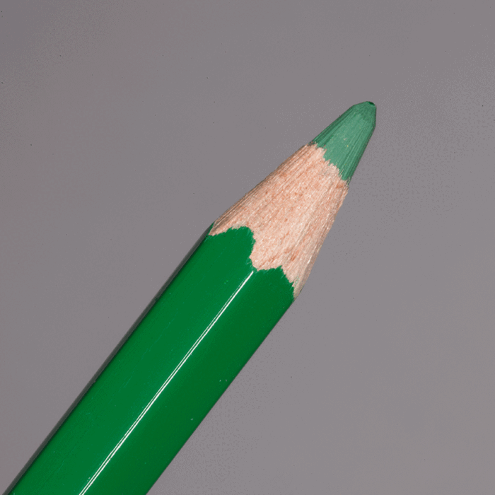 Spruce Green Caran d'Ache Pablo Colour Pencil (239)