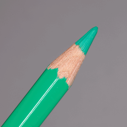 Empire Green Caran d'Ache Pablo Colour Pencil (290)