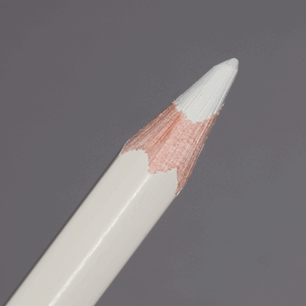 Ash Grey Caran d'Ache Pablo Colour Pencil (401)