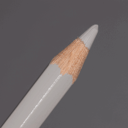 Beige Caran d'Ache Pablo Colour Pencil (403)