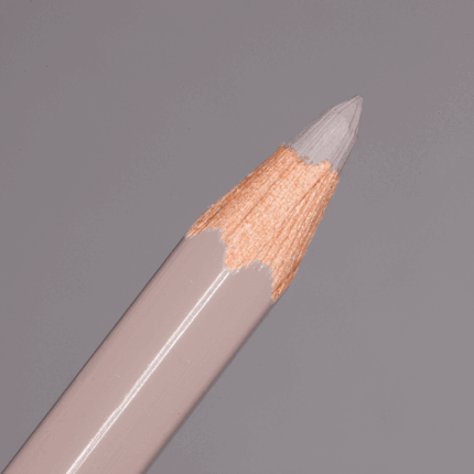 Brownish Beige Caran d'Ache Pablo Colour Pencil (404)