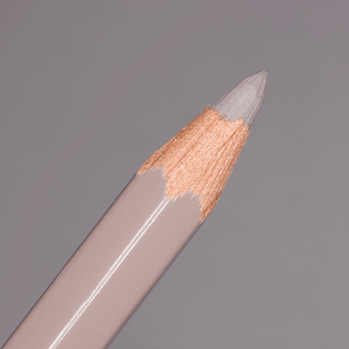 Brownish Beige Caran d'Ache Pablo Colour Pencil (404)