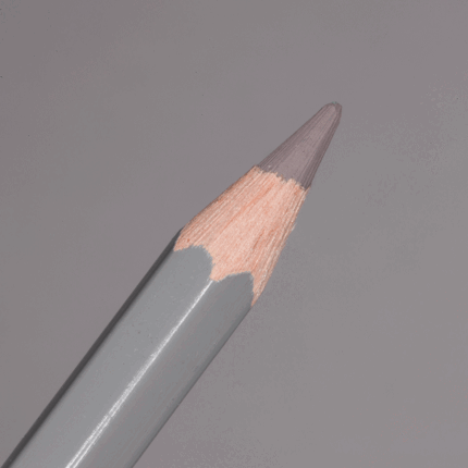 Cocoa Caran d'Ache Pablo Colour Pencil (405)