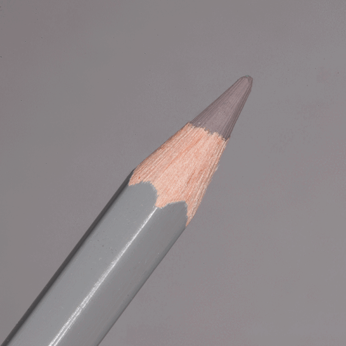 Cocoa Caran d'Ache Pablo Colour Pencil (405)