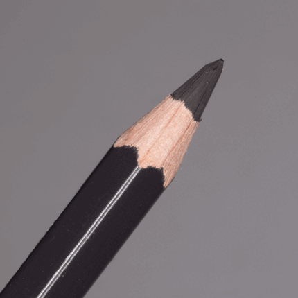 Charcoal Grey Caran d'Ache Pablo Colour Pencil (409)