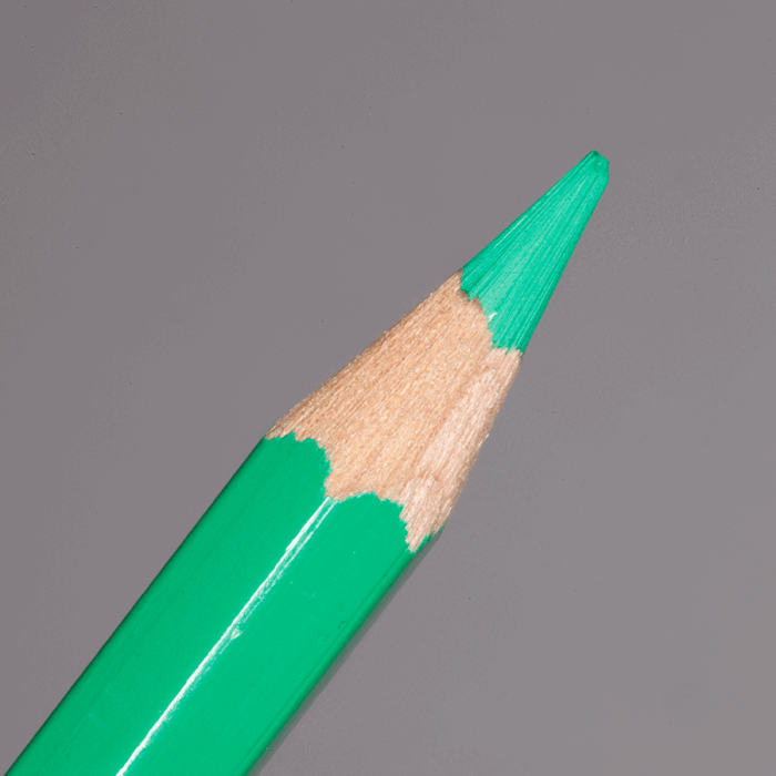 Peacock Green Caran d'Ache Pablo Colour Pencil (460)